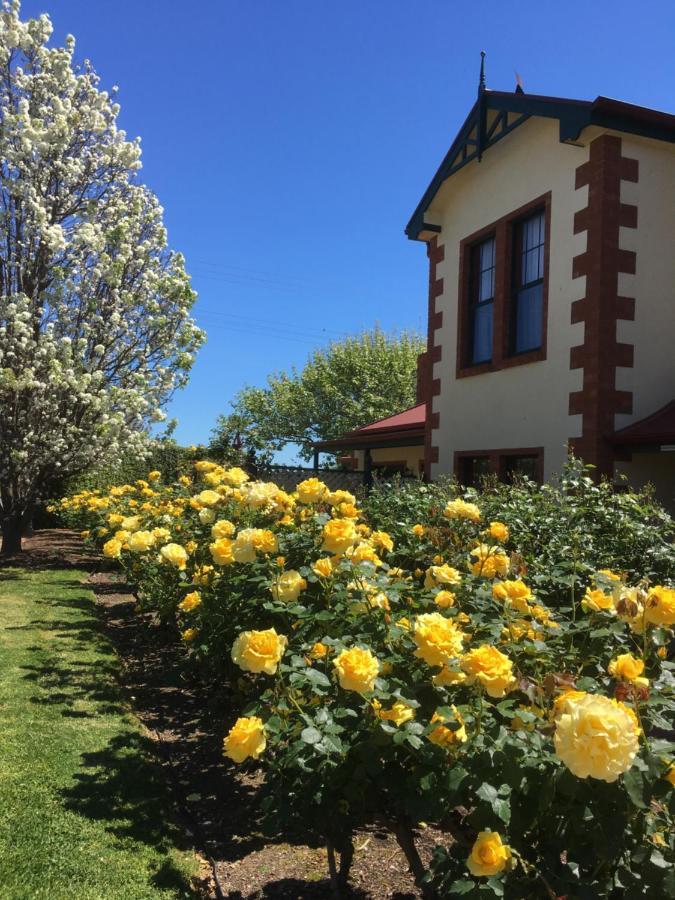 Wine And Roses Bed And Breakfast Adelaida Exterior foto