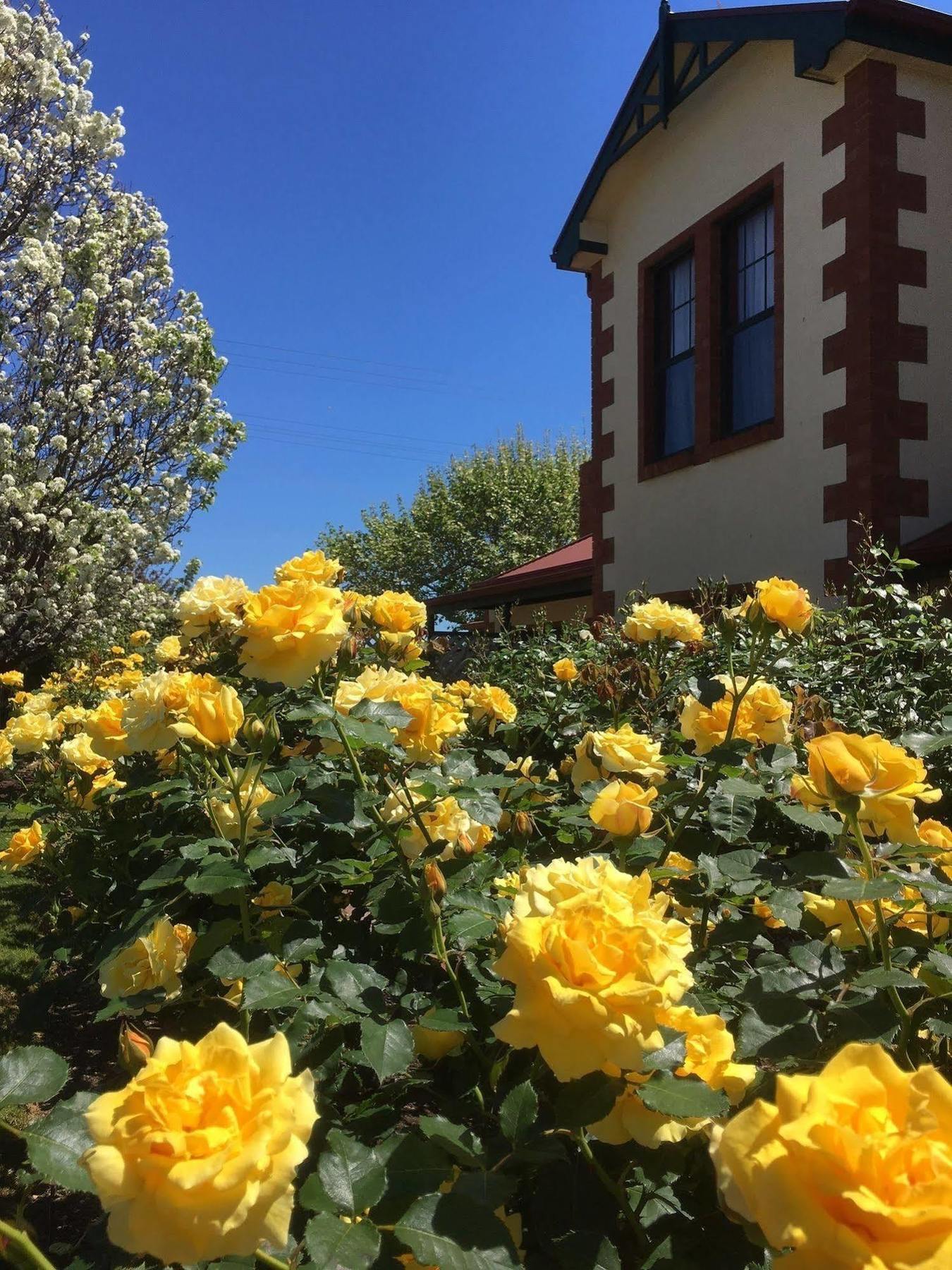 Wine And Roses Bed And Breakfast Adelaida Exterior foto